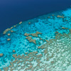 Seen On The Reef